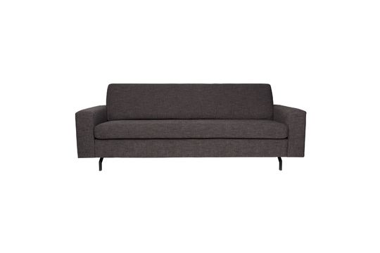 2,5-Sitzer Sofa Jean anthrazit