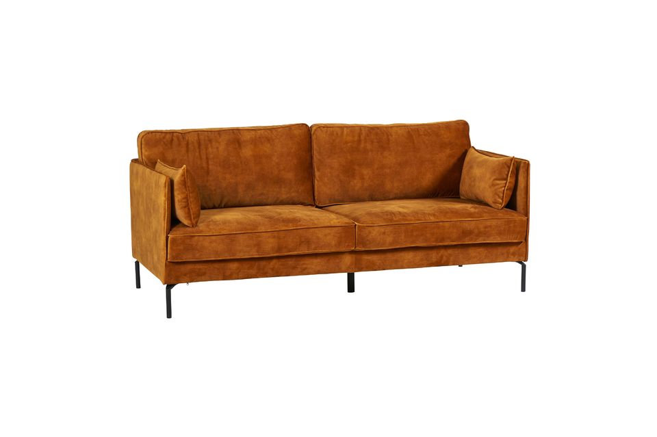 Möchten Sie sich ein neues Sofa anschaffen