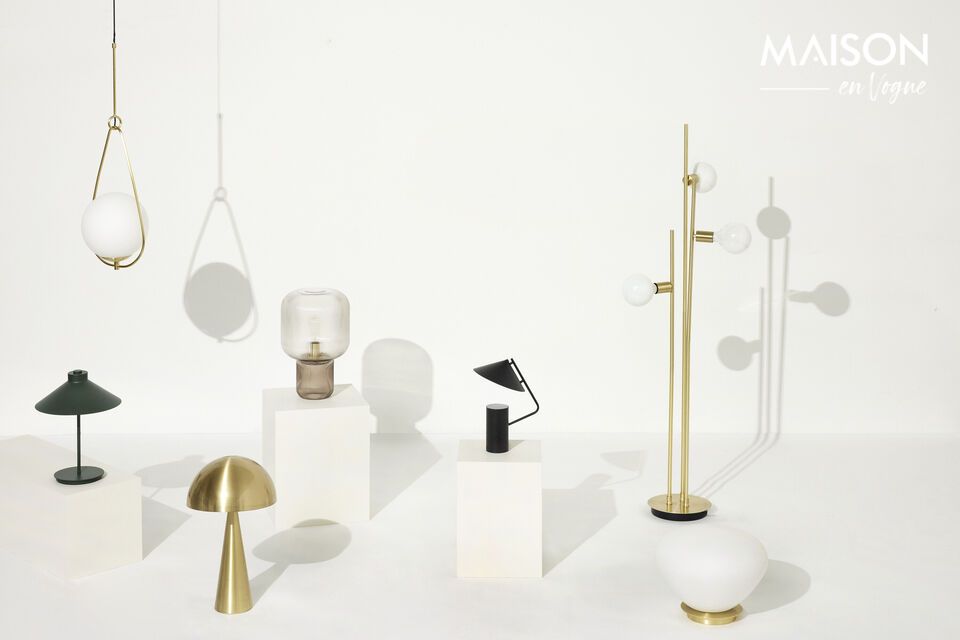 Diese Lampe vereint natürliche Schönheit und Funktionalität und bietet eine Lichtquelle