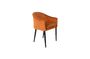 Miniaturansicht Catelyn-Sessel orange ohne jede Grenze