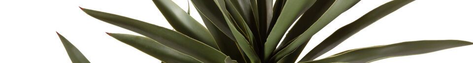 Materialbeschreibung Grüne künstliche Yucca-Pflanze