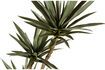 Miniaturansicht Grüne künstliche Yucca-Pflanze 4