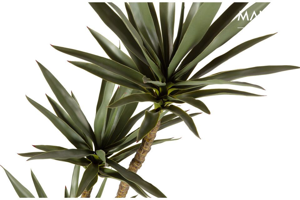 Die grüne Kunstpflanze Yucca gehört zur Kollektion der niederländischen Trendmarke für