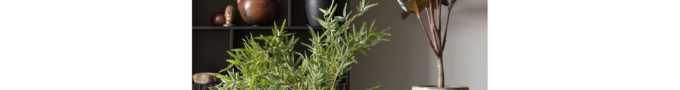 Materialbeschreibung Grüne Kunstpflanze Bambusa