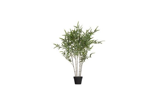 Grüne Kunstpflanze Bambusa ohne jede Grenze