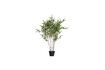 Miniaturansicht Grüne Kunstpflanze Bambusa 1