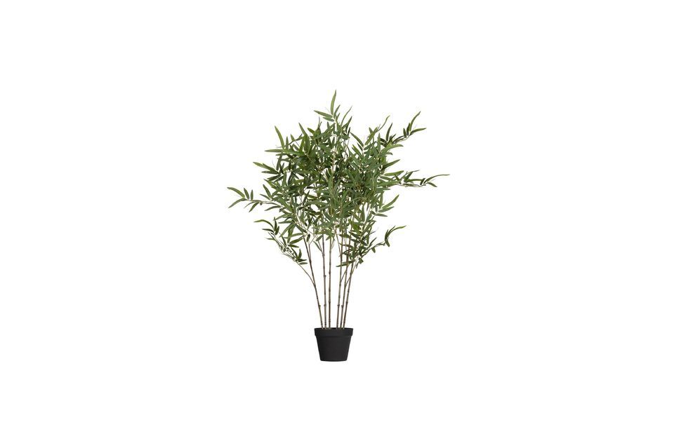 Grüne Kunstpflanze Bambusa Woood