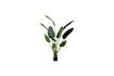Miniaturansicht Grüne Kunstpflanze Strelitzia 1