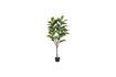 Miniaturansicht Künstliche grüne Pflanze Rubberboom 1