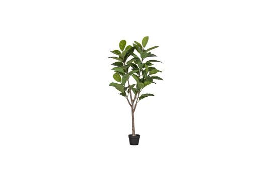 Künstliche grüne Pflanze Rubberboom