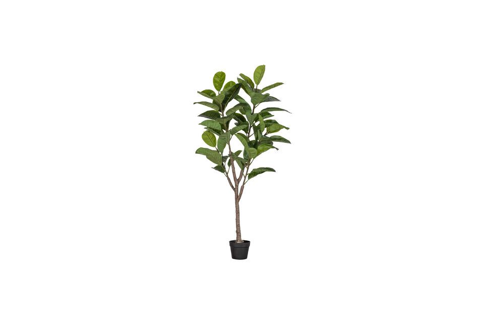 Künstliche grüne Pflanze Rubberboom Woood
