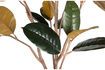 Miniaturansicht Künstliche Pflanze Rubber 4