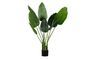 Miniaturansicht Künstliche Pflanze Strelitzia ohne jede Grenze