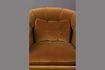 Miniaturansicht Lounge Stuhl Member whiskyfarben 7
