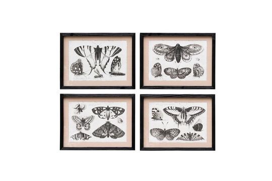 Set aus 4 schwarzen Holzrahmen Schmetterlinge